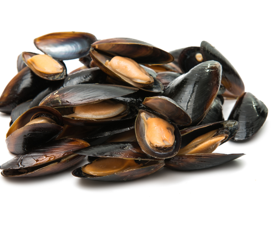 Fortalecendo redes de apoio às marisqueiras