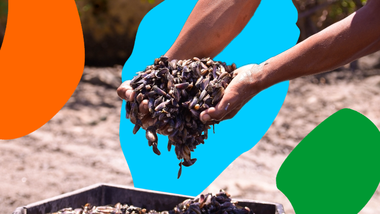 A importância das marisqueiras para as comunidades costeiras